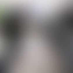 US Airlines must issue full refund