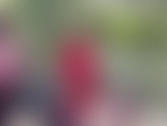 Girl inspirational bike ride