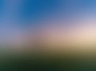 Synchronicity, Self-Awareness, and the Collective Future