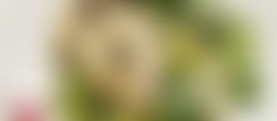 Chicken Salad Recipe