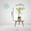 Thumbnail: Ficus Benjamina