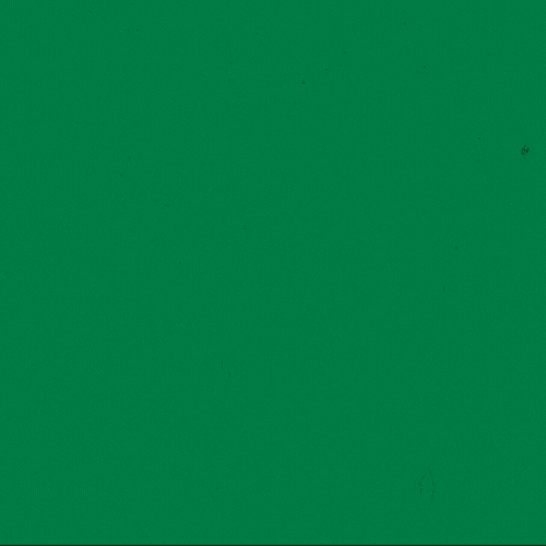 An animated version of The Big Brine logo