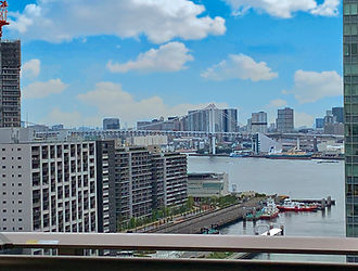レインボーブリッジ　夜景がきれい