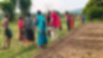 A volunteer's experiences in Orissa