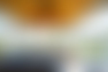 The Ultimate Showdown Between Vinyl Siding and Tongue-and-Groove Outdoor Ceilings