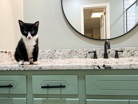 Transforming Mustard to Elegance: A Stunning Before and After Bathroom Remodel