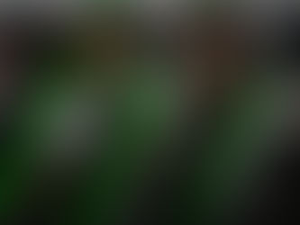 Some Xbox Live Gold Subscribers Appear to be Receiving 5 Free Months of Xbox Game Pass!