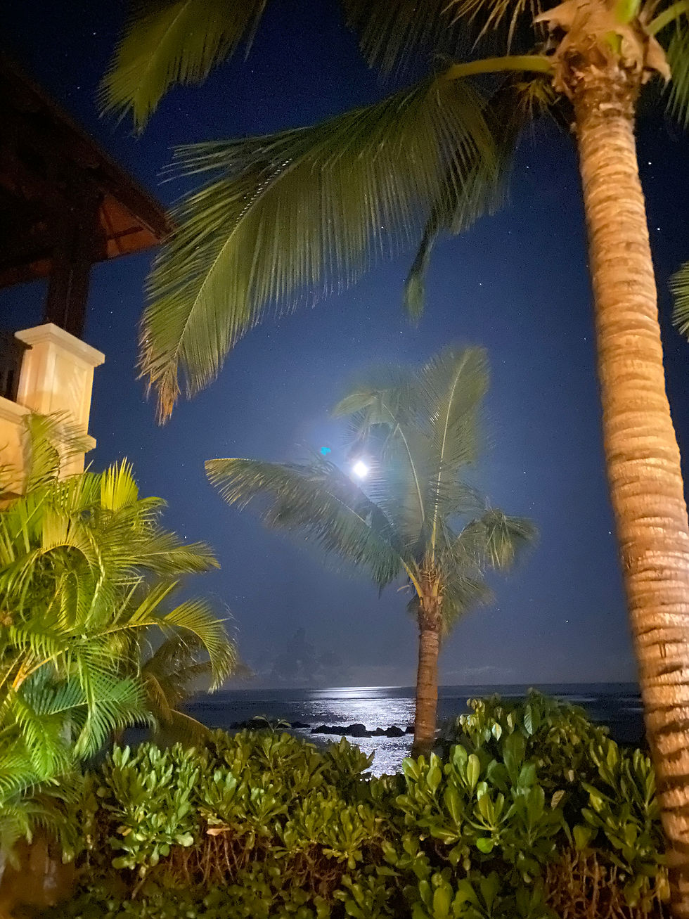The view from our Banyan Suite beach terrace, a truly peaceful stay. I would highly recommend The Westin if choosing to holiday on this side of this magical island.