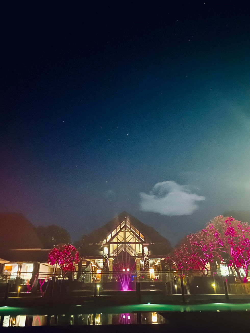 An evening of stars & serenity at The Westin Turtle Bay.