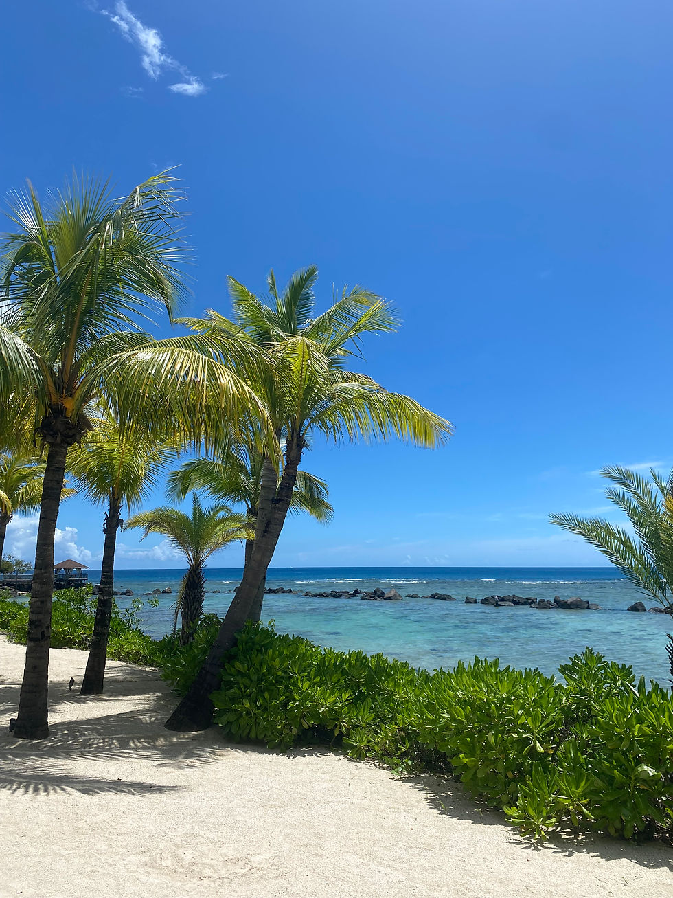 Just a slice of the resorts beach perfection.