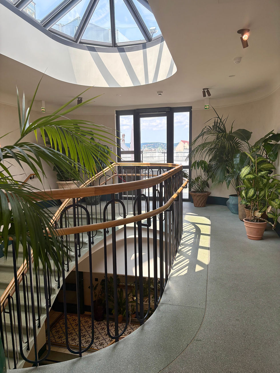 The charming spiral stairs running like an elegant spine through the hotel.