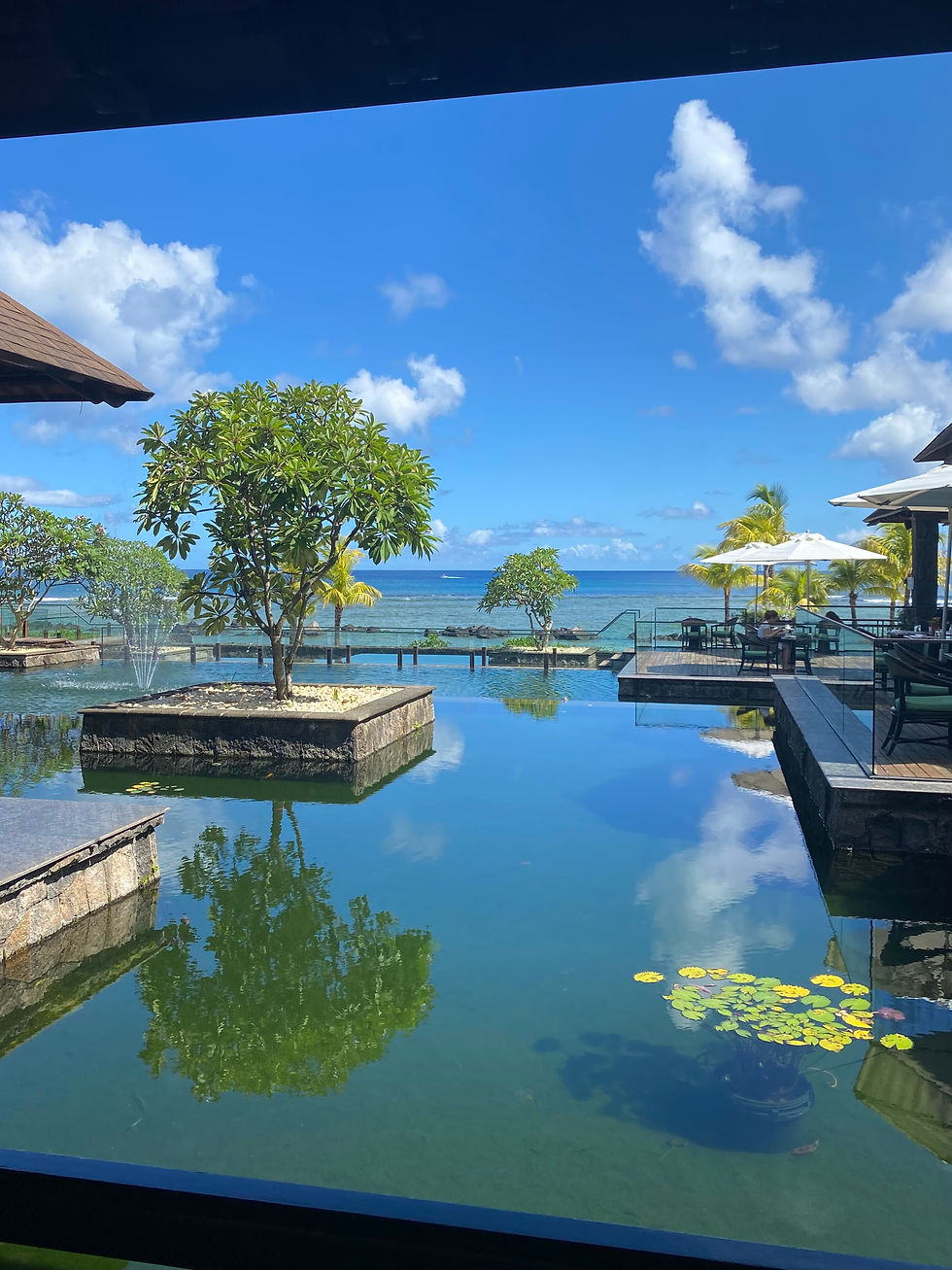 View from the Reception area- a warm welcome of endless views over the Indian Ocean.