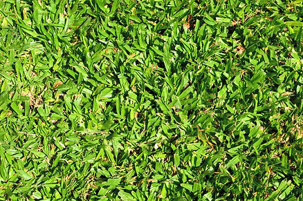 DSC_0330A_edited.jpg