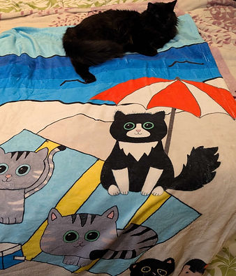 jijiblanket_edited.jpg