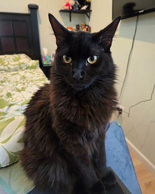 Jiji