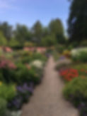 Abby border upper east looking north.jpg