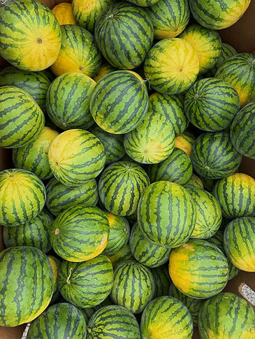 FullSizeRender_VSCO (2).JPG