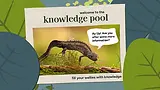 KnowledgePool Full.webp