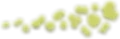 Algae Illustration