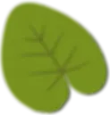 Small Green Lily Pad Illustration