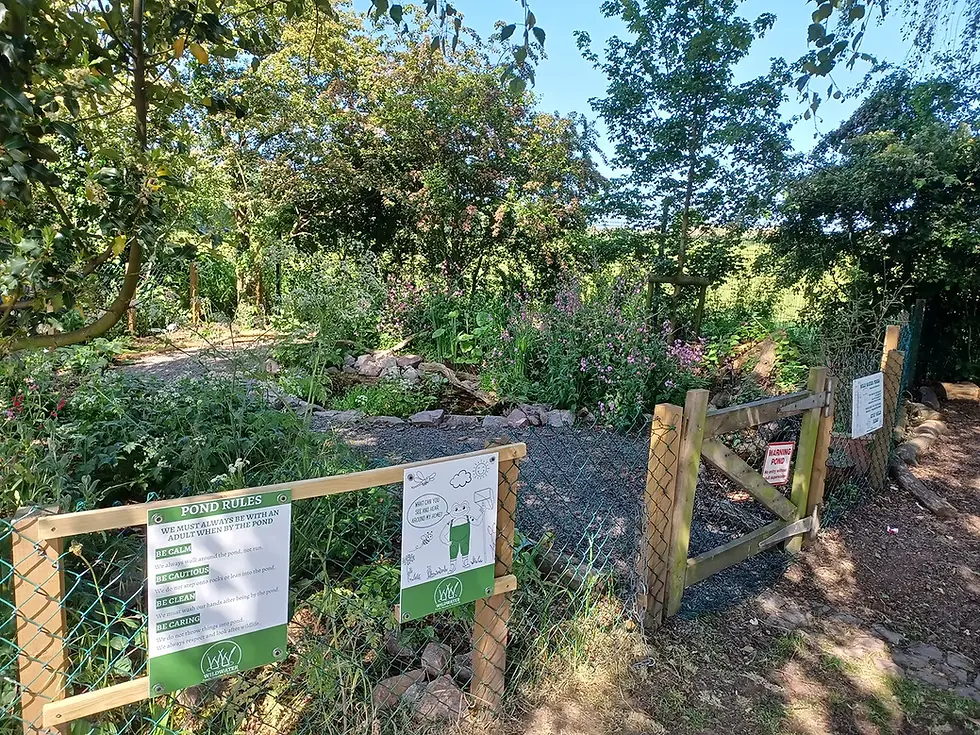 WildWater Cossington Primary School Pond Area