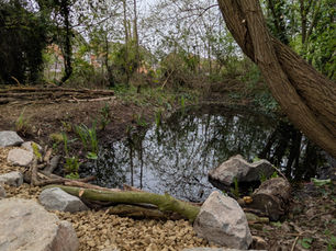 Nature’s Classroom, Reawakened!