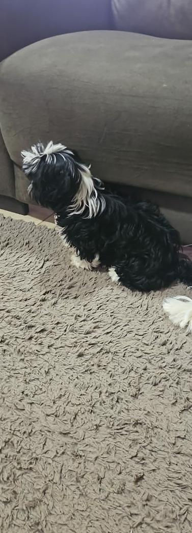 59264454-f5af-4766-8f6c-10c4d2f55320