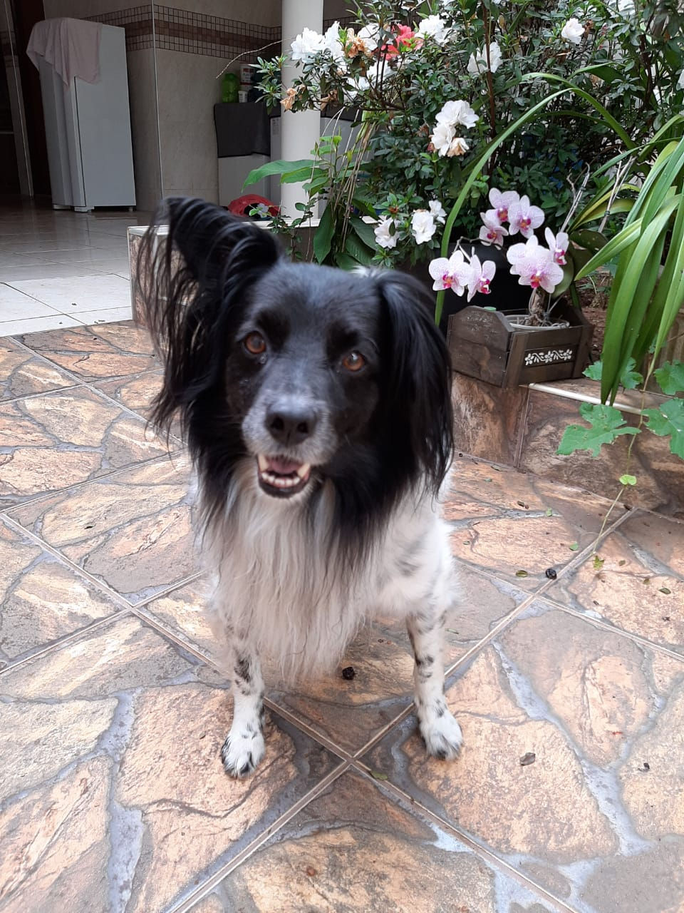 84c75874-9d01-4142-92c0-7859e6aebe16
