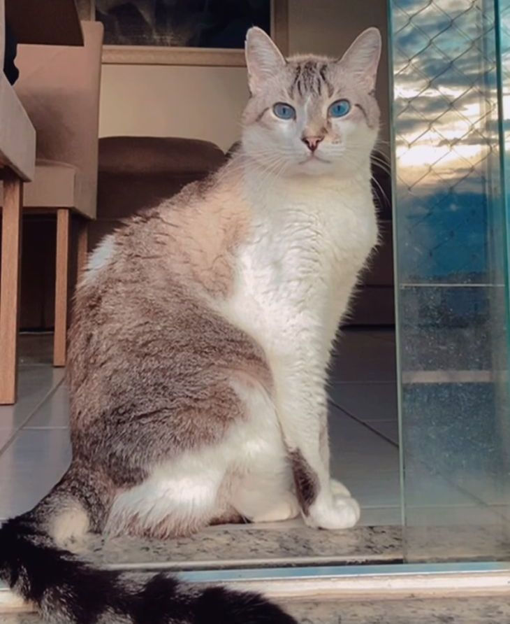 cb199013-34c0-485a-ab00-5d9055f2822b