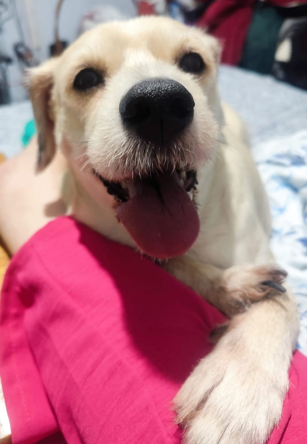 066dcb3b-6228-4280-a618-646834130ae7