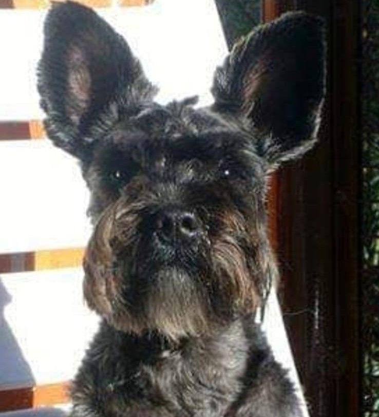 9aa9194b-c71a-4ef6-a5a5-6dc27e32dee8