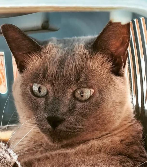 de042dce-caf8-4faf-8381-24c1aa0323f2