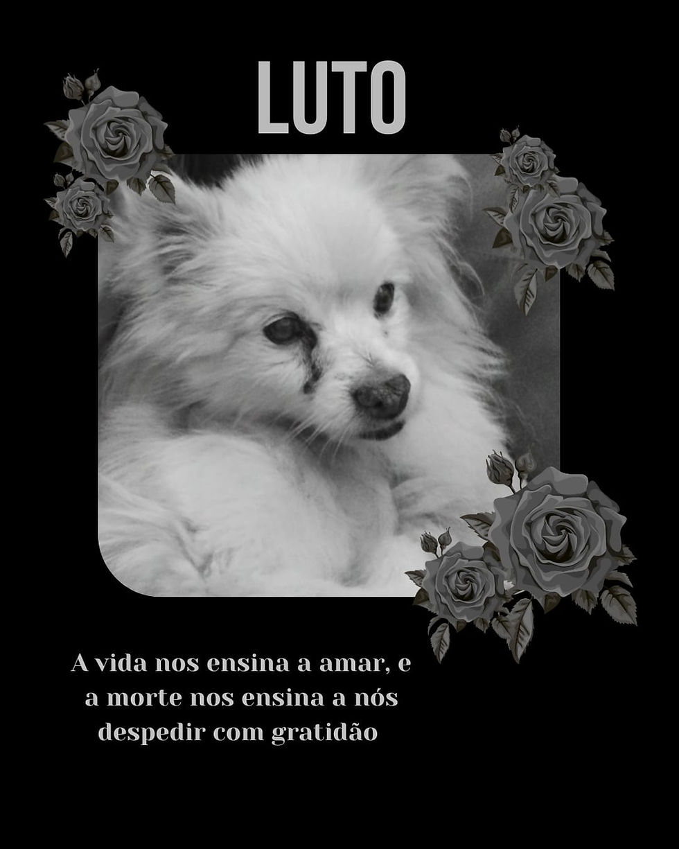 55c9b2fe-d828-4bd2-923b-87db7682f4de