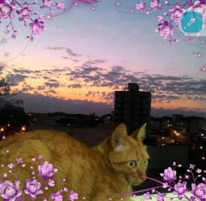 628c0ab8-3aea-493f-9a7a-866dfdfd4828