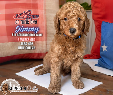 Jimmy, Blue collar.png