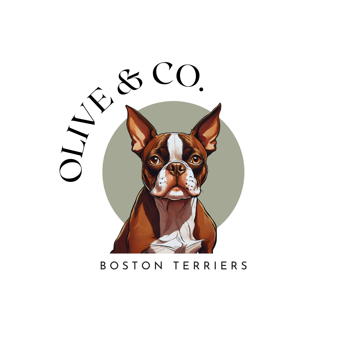 Olive and Co. Boston Terriers logo