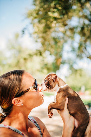 woman with boston terrier puppy