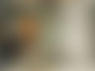 Modular kitchen in delhi