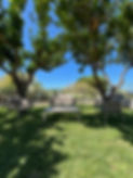 IMG_7997.jpeg