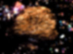 Meteorite