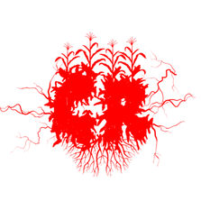 Untitled design (2).png