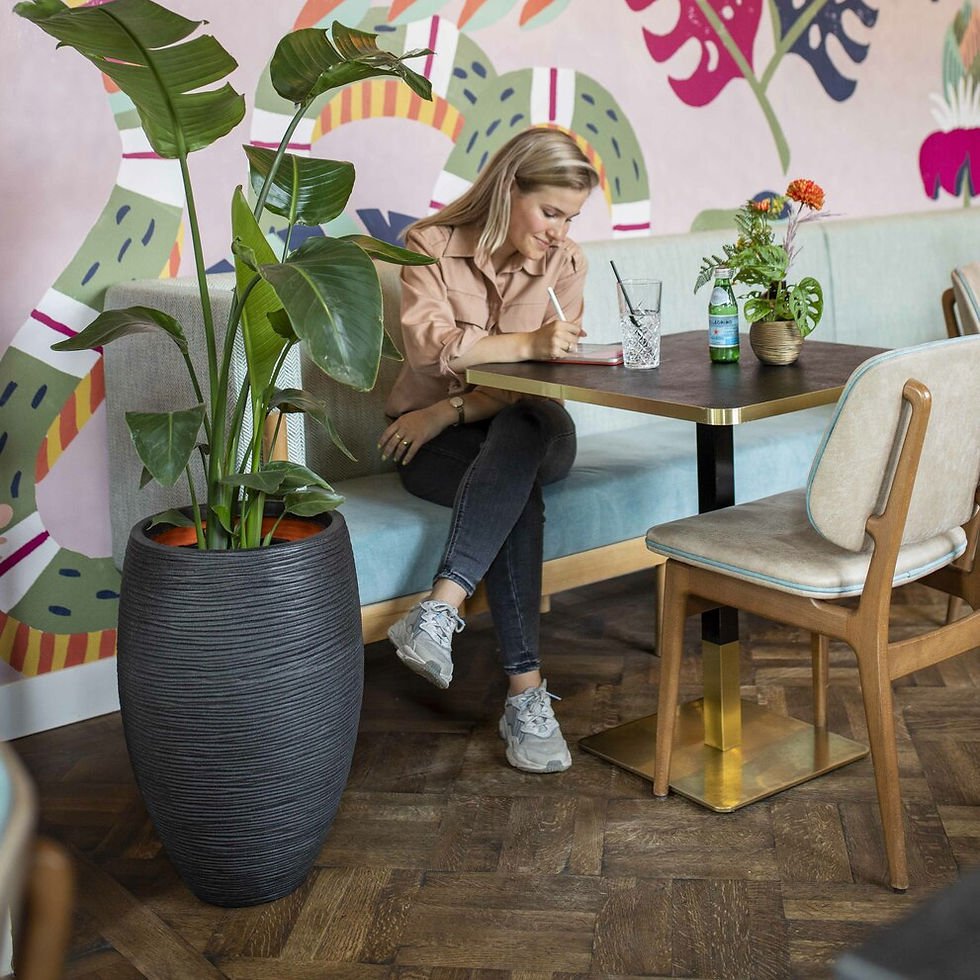 Miniatiūra: Vazonas Deluxe Rib