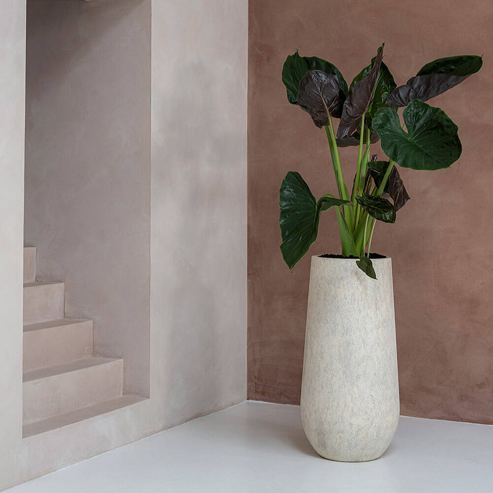 Miniatiūra: Prabangus Vazonas Aukštiems Dekoratyviniams Augalams