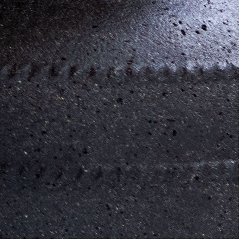 Miniatiūra: Juodos Spalvos Raštuotas Vazonas