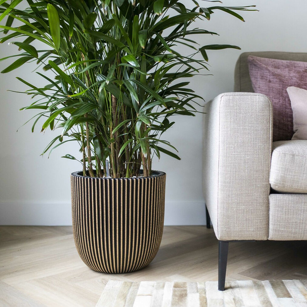 Miniatiūra: Vazonas Nature Groove Square