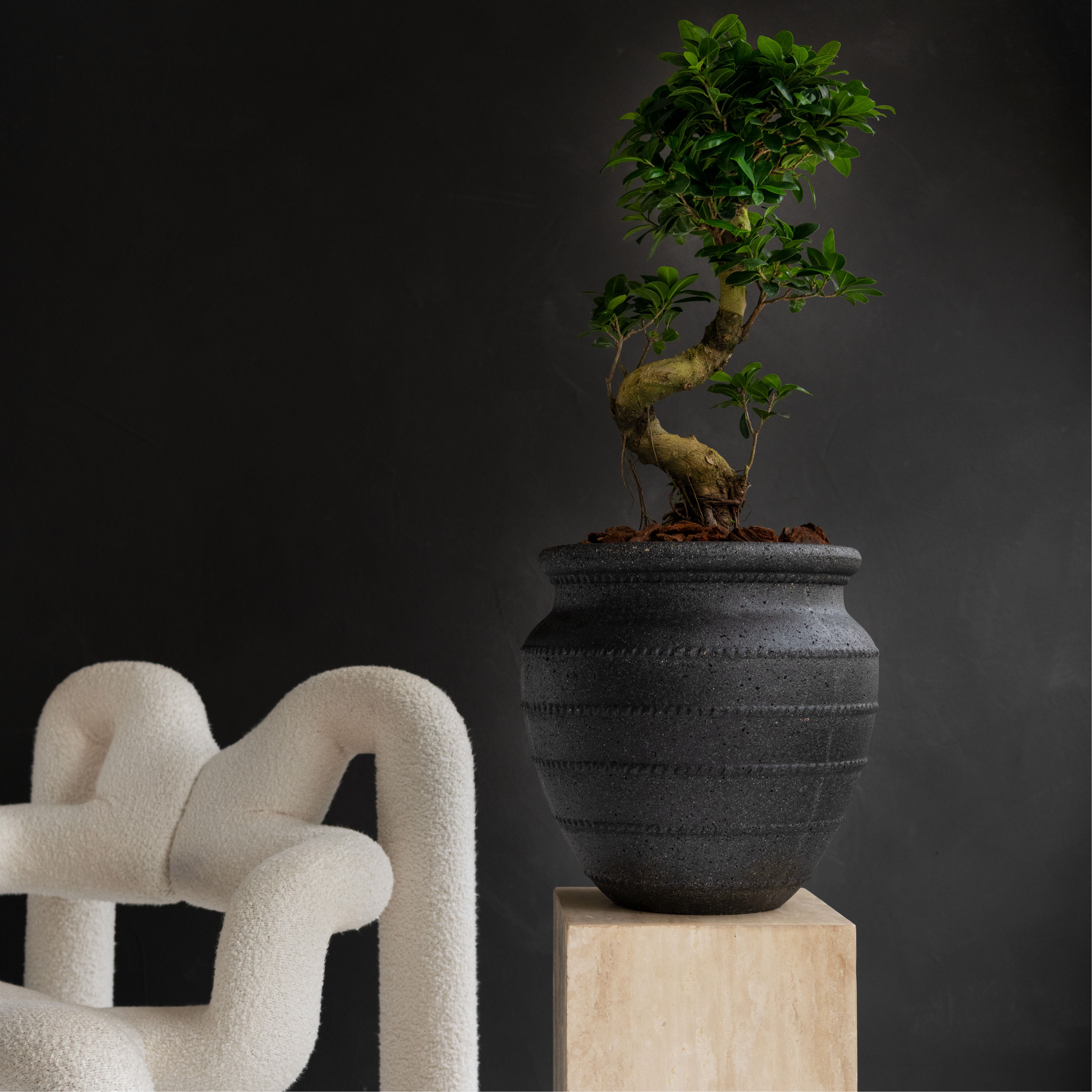 Prabangus Modernus Vazonas