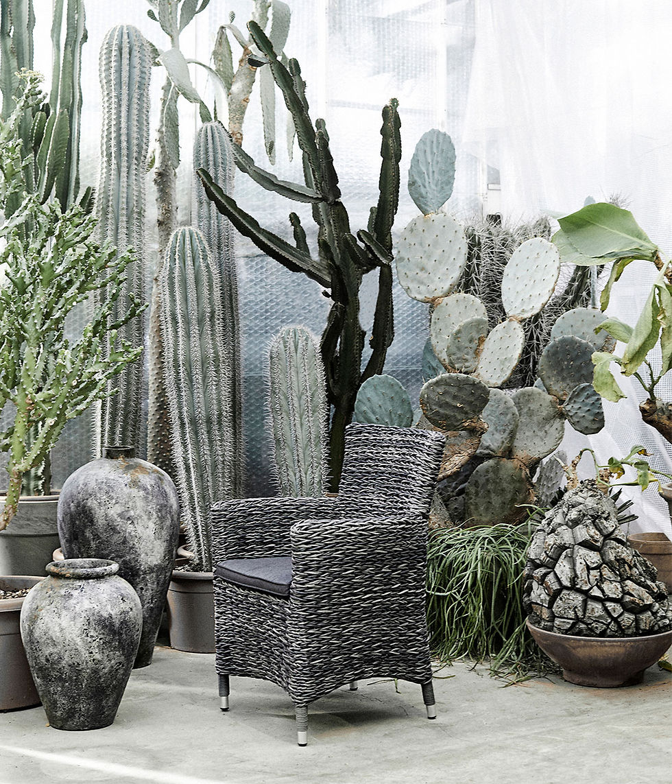 Elegantiška Sendinto Paviršiaus Vaza