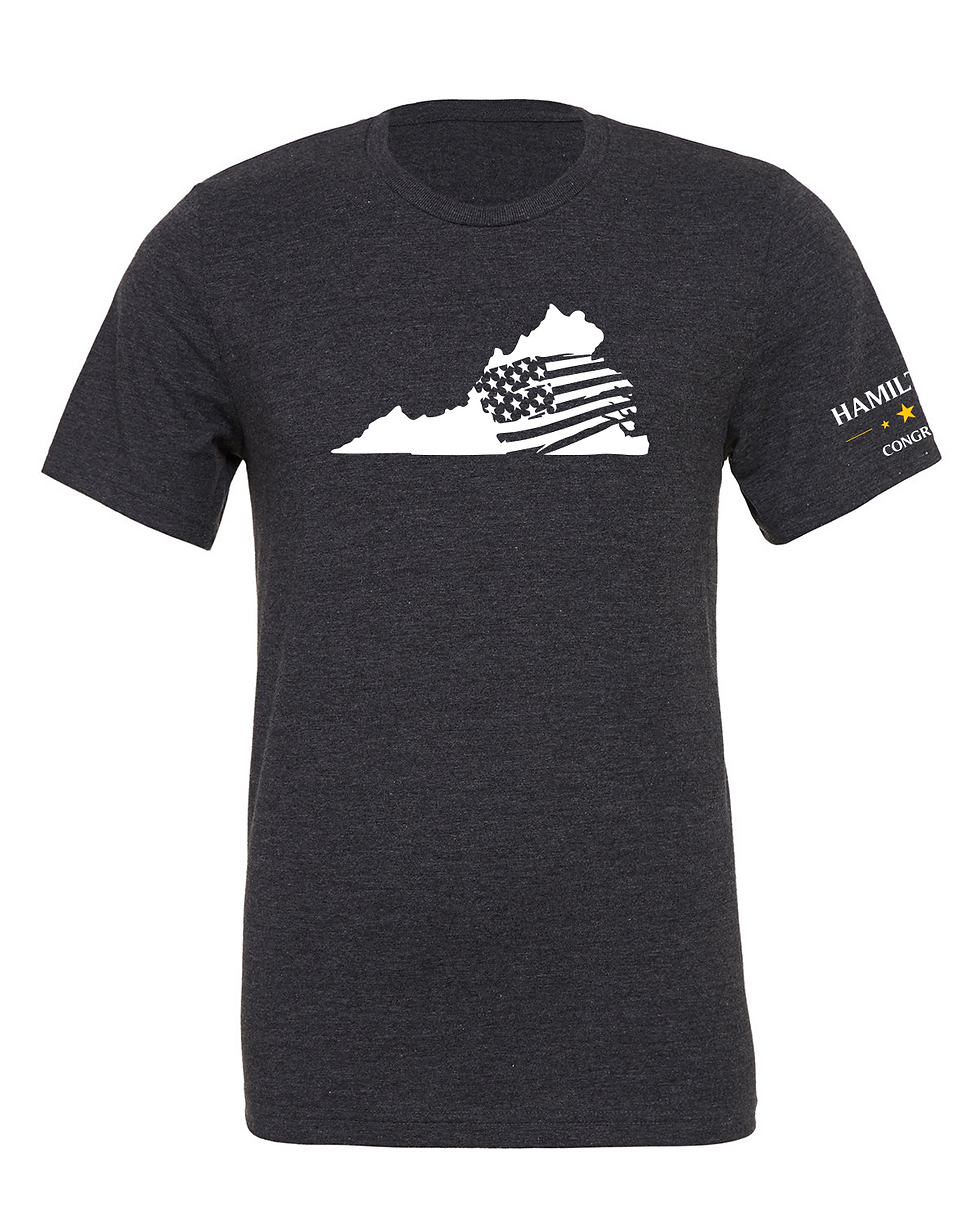 Thumbnail: Hamilton USA Virginia Patriot T-Shirt
