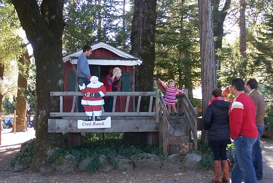 Crest Ranch Christmas Tree Farm Santa Cruz California Bay Area Chr