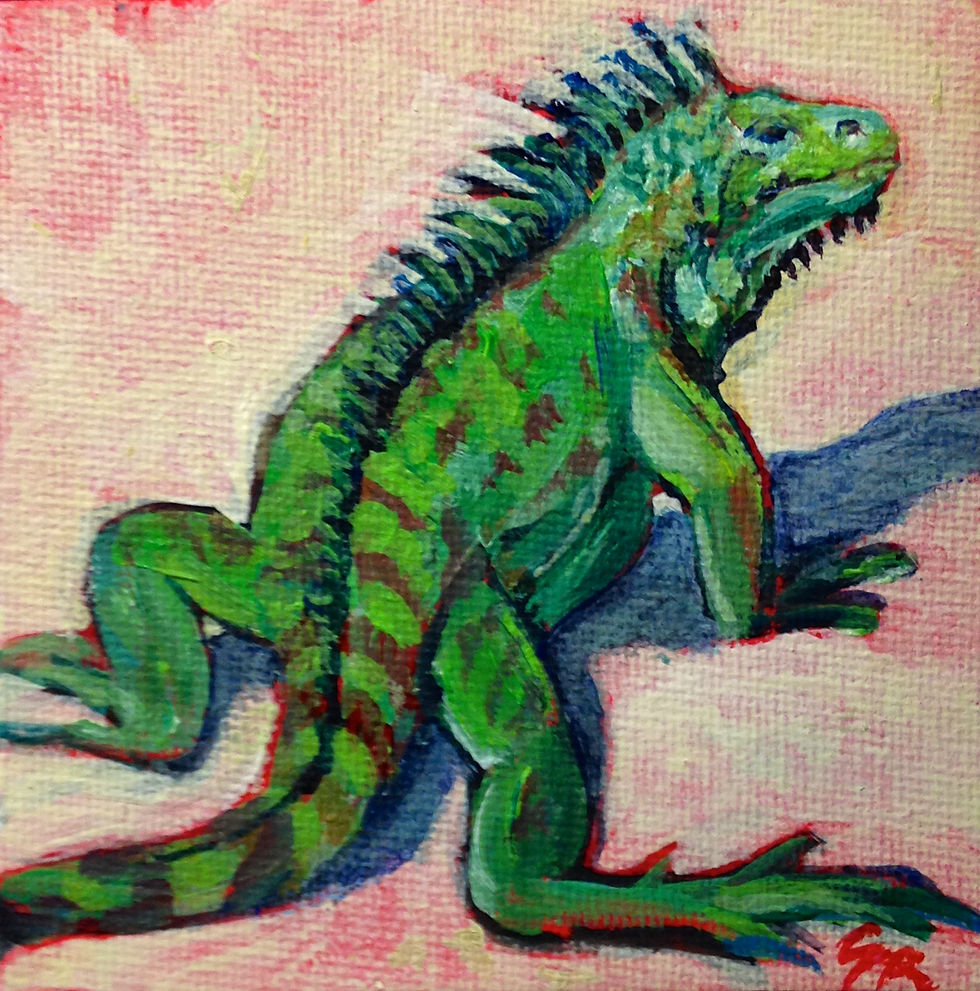Iguana on the Beach